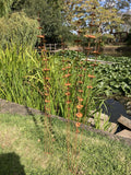 SET OF 3 RUSTY METAL GARDEN LILY-PAD LEAF PLANT STAKE ORNAMENTS