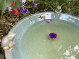 SMALL GLAZED CERAMIC  FROG BIRD BATH BIRD TOP FEEDER BOWL DISH GARDEN ORNAMENT