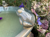 SMALL GLAZED CERAMIC  FROG BIRD BATH BIRD TOP FEEDER BOWL DISH GARDEN ORNAMENT