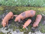 SET OF 4 RUSTY METAL CAST IRON PIG GARDEN ORNAMENTS PIGLETS