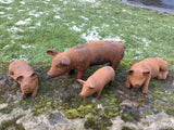 SET OF 4 RUSTY METAL CAST IRON PIG GARDEN ORNAMENTS PIGLETS