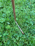 METAL SNOWDROP BELLS BIRD GARDEN STAKE DECORATION