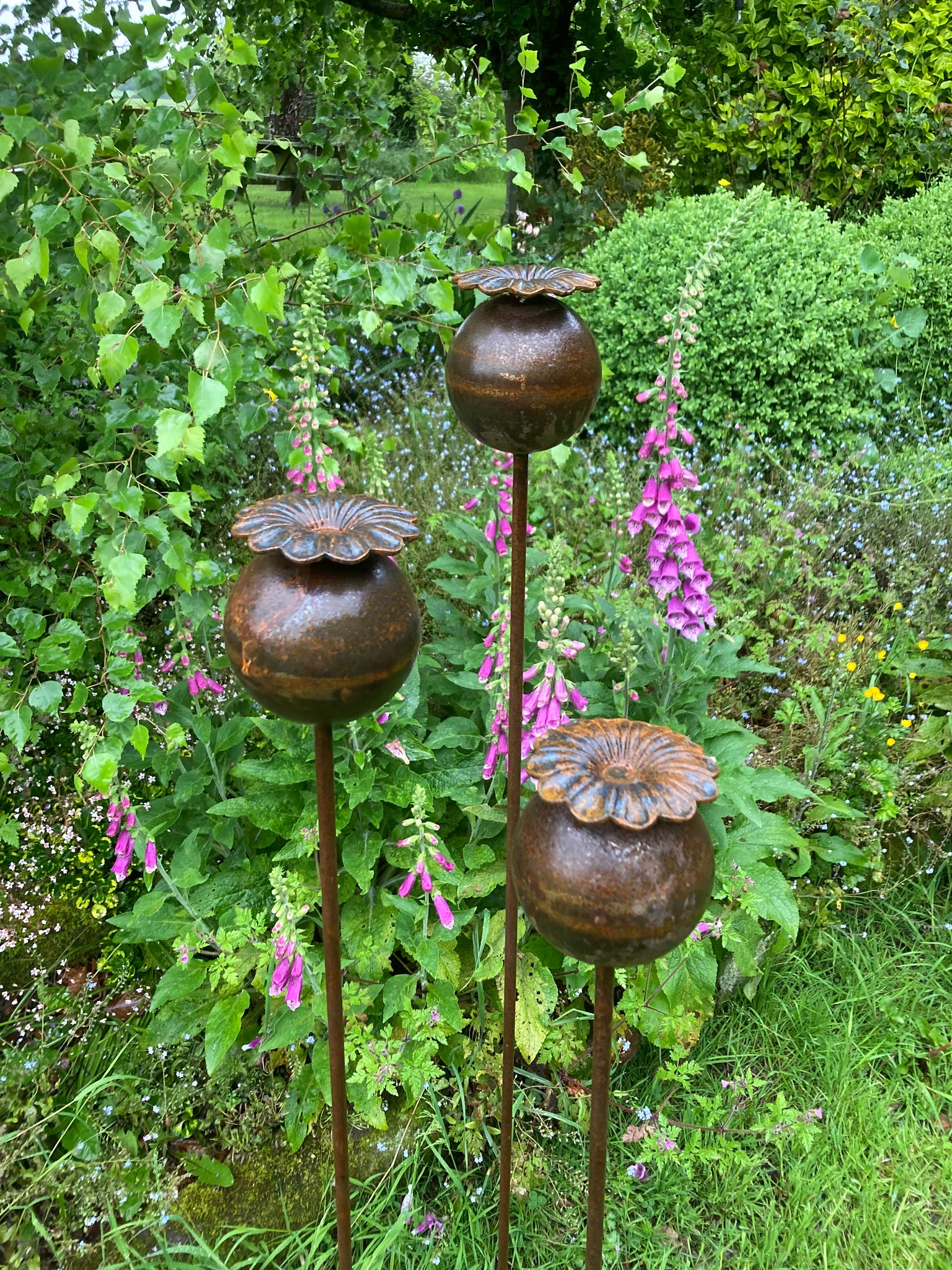 poppy seed head garden stakes SET OF 3 TALL RUSTY LARGE METAL POPPY STAKES GARDEN PLANT SUPPORTS ORN – Ferney Heyes Garden Products