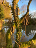 RUSTY METAL GARDEN THISTLE / TEASEL FLOWER SPRAY STAKE ORNAMENT