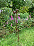 SET OF 3 TALL RUSTY LARGE METAL POPPY STAKES GARDEN PLANT SUPPORTS ORNAMENT