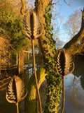 RUSTY METAL GARDEN THISTLE / TEASEL FLOWER SPRAY STAKE ORNAMENT