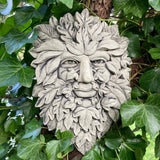 STONE GARDEN LEAFY TREE GREEN MAN LEAF FACE WALL PLAQUE PAGAN WICCAN