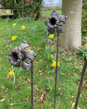 SET OF 3 RUSTY METAL 1M DAFFODIL GARDEN SUPPORTS STAKES