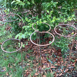 SET OF 20 RUSTY METAL CIRCLE PLANT SUPPORTS GARDEN STAKES