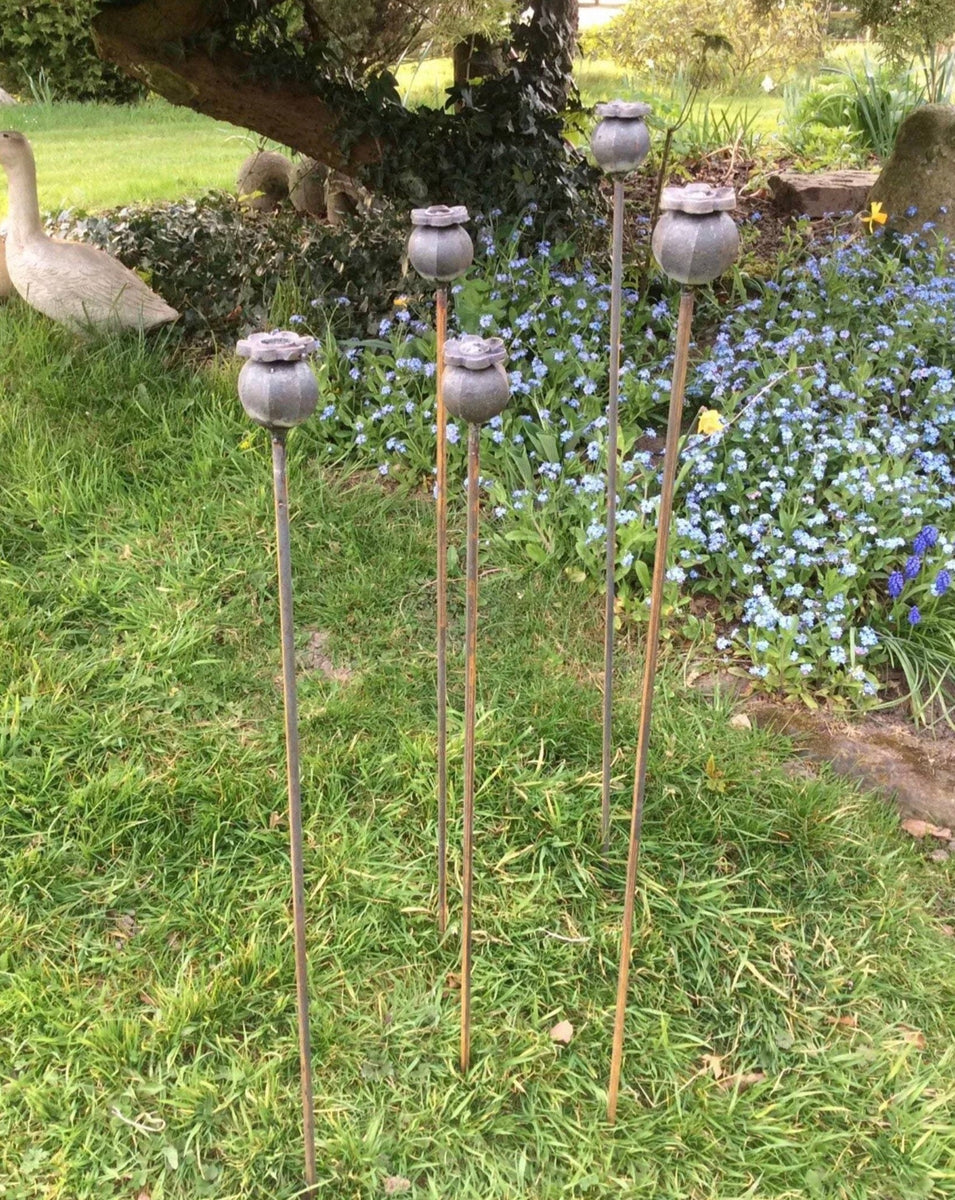 SET OF 5 RUSTY METAL 1M POPPY HEAD GARDEN PLANT SUPPORTS STAKES ...