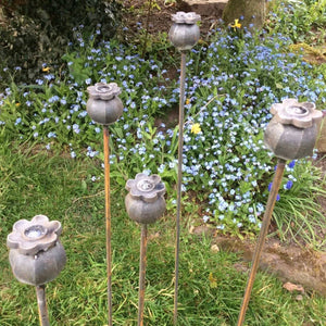 Garden set of poppy seed head plant supports stakes décor sculpture poppies gardening ironwork forged metal rusty ferney Heyes metalwork