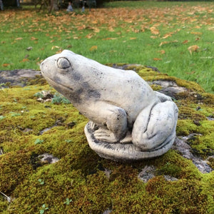 STONE GARDEN SMALL FROG