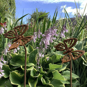 Garden rusty metal butterfly stakes supports ferney Heyes decor 