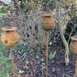 SET OF 3 RUSTY 1M METAL POPPY PLANT SUPPORTS GARDEN STAKES