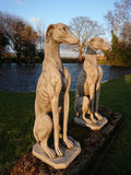 STONE GARDEN PAIR OF SITTING GREYHOUND WHIPPET DOGS ORNAMENTS