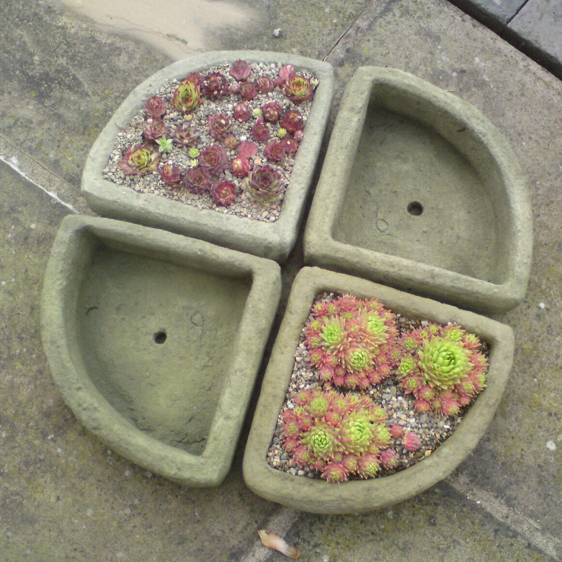 STONE GARDEN SET 4 SMALL CORNER ALPINE SEMPERVIVUM TROUGHS PLANTERS stone-garden-set-4-small-corner-alpine-sempervivum-troughs-planters