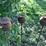 SET OF 3 RUSTY 1M METAL POPPY PLANT SUPPORTS GARDEN STAKES