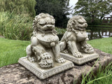 STONE GARDEN PAIR OF FOO DOGS CHINESE DOG STATUES ORNAMENTS