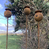 SET OF 3 RUSTY 1M METAL POPPY PLANT SUPPORTS GARDEN STAKES