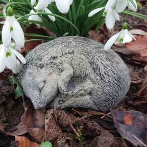 Stone garden sleeping hedgehog ornament statue ferney heyes