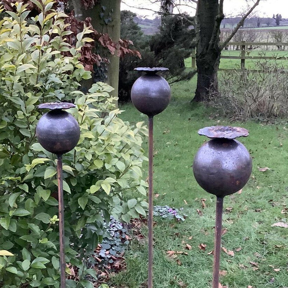 metal poppy seed head garden stakes SET OF 6 RUSTY TALL 1.45M METAL POPPY FLOWER STAKES GARDEN SCULPTURE P – Ferney Heyes Garden Products