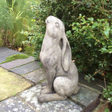 Stone garden hare rabbit ornament moon gazing statue figure ferney Heyes British made 