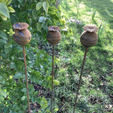 SET OF 6 RUSTY METAL 1 METRE TALL POPPY SEED HEAD FLOWER PLANT SUPPORTS GARDEN STAKES