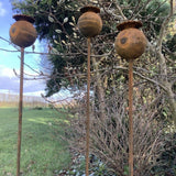 SET OF 6 RUSTY METAL 1 METRE TALL POPPY SEED HEAD FLOWER PLANT SUPPORTS GARDEN STAKES