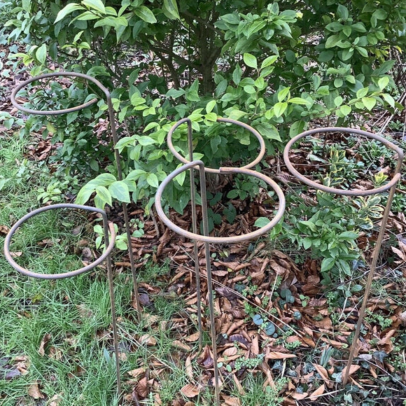 SET OF 5 RUSTY METAL CIRCLE PLANT GARDEN SUPPORTS STAKES