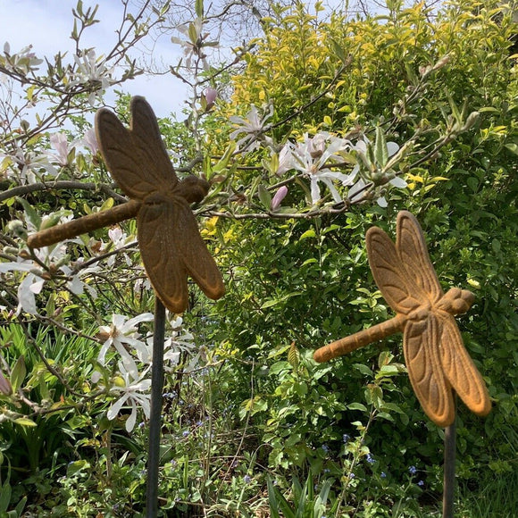 Garden plant stakes supports rusty dragonfly 