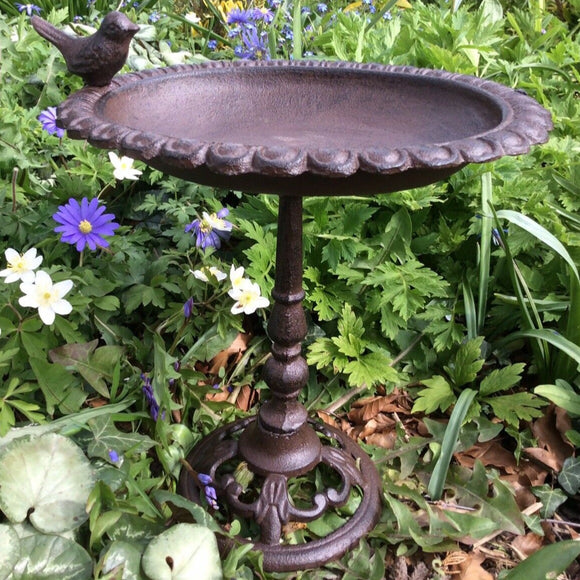 Cast iron garden birdbath metal feeder ferney Heyes garden products cheshire shropshire
