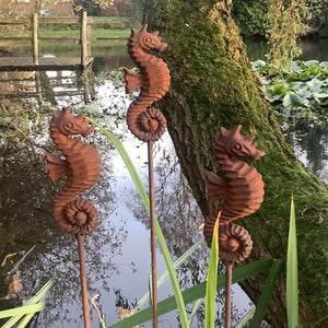 Garden set of plant stakes supports rusty metal seahorse sea horse design pond ferney heyes