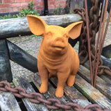Cold cast iron rusty garden pig piglet statue ferney heyes