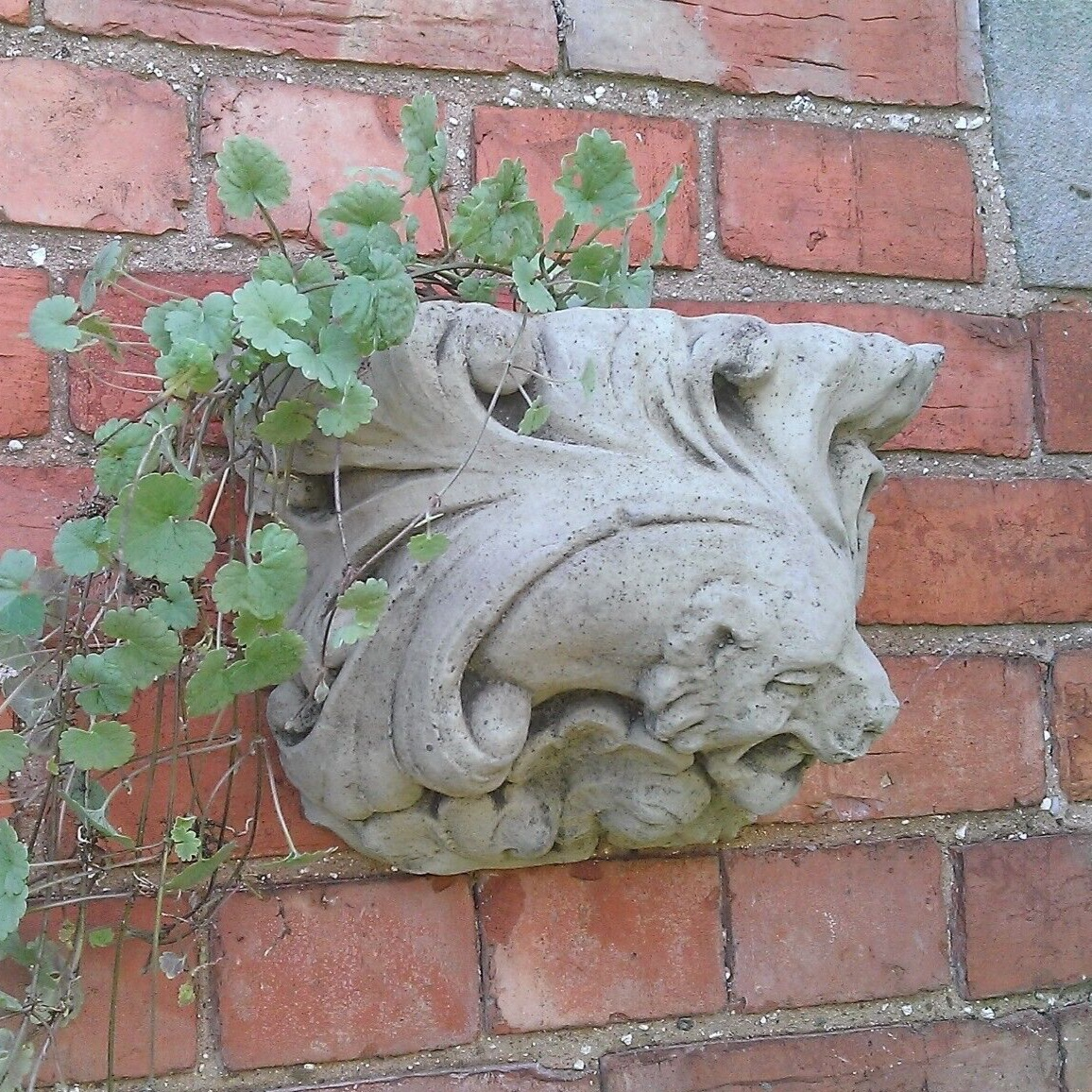 gargoyle plant pots STONE GARDEN OLD STYLE GOTHIC GARGOYLE WALL PLANTER – Ferney Heyes Garden Products
