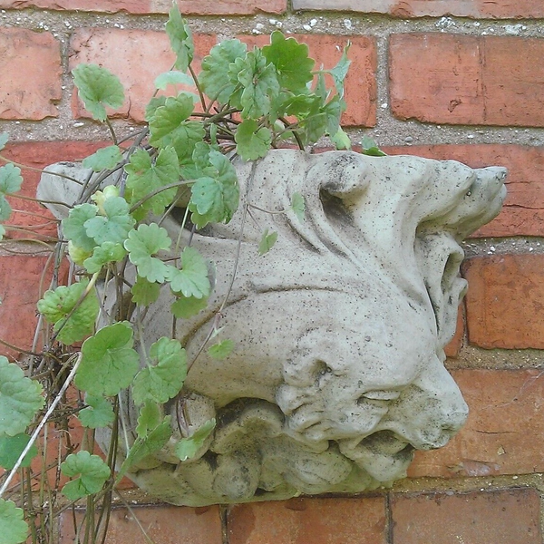 gargoyle planter pot STONE GARDEN OLD STYLE GOTHIC GARGOYLE WALL PLANTER – Ferney Heyes Garden  Products