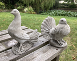 STONE GARDEN SET OF 2 FAN TAIL DOVES PIGEON ORNAMENTS STATUES