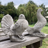 STONE GARDEN SET OF 2 FAN TAIL DOVES PIGEON ORNAMENTS STATUES