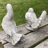 STONE GARDEN SET OF 2 FAN TAIL DOVES PIGEON ORNAMENTS STATUES