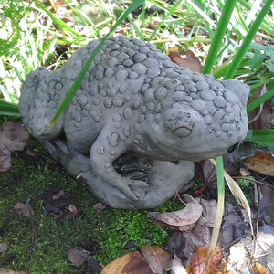 STONE GARDEN SMALL TOAD FROG POND WATER FEATURE SPOUT FOUNTAIN ORNAMENT