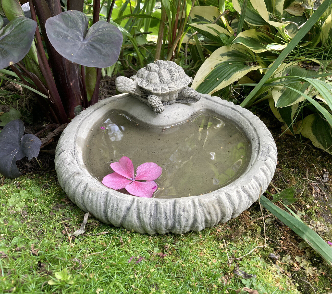 Bird bath