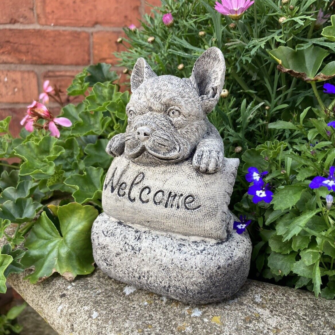 Blue French Bulldog Puppies Cheshire Results For