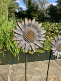 SET OF 4 RUSTY 1.5 METRE METAL SUNFLOWER PLANT SUPPORTS SUN FLOWER STAKES GARDEN