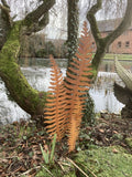 SET OF 4 RUSTY METAL FERN LEAF PLANT STAKES GARDEN DECORATIONS