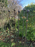 SET OF 4 x 1.5m TALL RUSTY METAL DOUBLE BALL GARDEN STAKES SUPPORTS - HEAVY DUTY