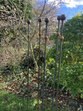 SET OF 5 x 1.5m TALL RUSTY METAL DOUBLE BALL GARDEN STAKES SUPPORTS - HEAVY DUTY
