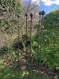 SET OF 5 x 1.5m TALL RUSTY METAL DOUBLE BALL GARDEN STAKES SUPPORTS - HEAVY DUTY