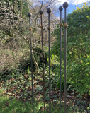 SET OF 6 x 1.5 METRE TALL RUSTY METAL DOUBLE BALL GARDEN STAKES SUPPORTS - HEAVY DUTY