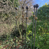 SET OF 10 x 1.5 METRE TALL RUSTY METAL DOUBLE BALL GARDEN STAKES SUPPORTS - HEAVY DUTY