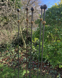 SET OF 10 x 1.5 METRE TALL RUSTY METAL DOUBLE BALL GARDEN STAKES SUPPORTS - HEAVY DUTY