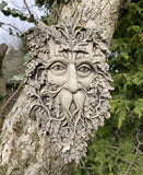 STONE GARDEN WICCAN BEARDED GREEN MAN FACE WALL PLAQUE HANGING PAGAN 🌿